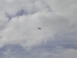 PICT2706.JPG